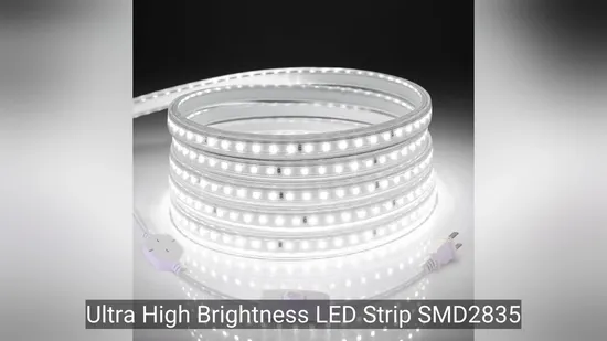 Outdoor 2835 IP65 Waterproof 120LEDs/M Flexible Ribbon Soft 220V 100m/Roll LED Strip Light for Christmas Decoration Lighting 