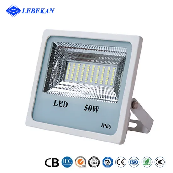 Industrial 50W 100W High Lumen LED Flood Light Outdoor Hazardous Area Lighting 