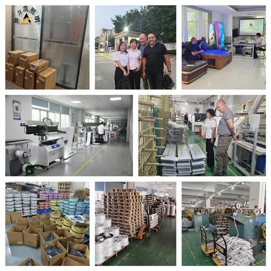 Holiday Christmas Decoration Signs Lighting Flexible Light SMD2835 5050 LED Strip Light 