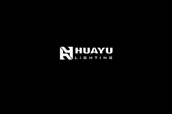 Huayu SMD5050 60LEDs 10IC DMX512 RGB LED Flex Decoration Neon Strip Light 